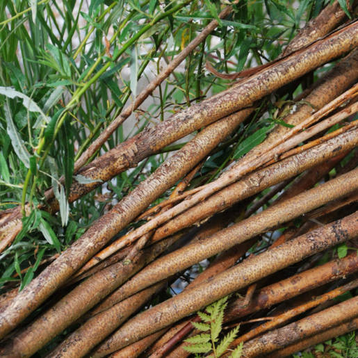 natuurlijke-tuin-met-gebruikte-materialen-Rotterdam-09-CP